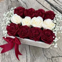 باکس های زیبا