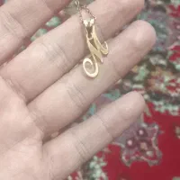 النگو طلا . پلاک طلا و سکه پارسیان با دو درصد|جواهرات|مشهد, مصلی (کارمندان اول)|دیوار