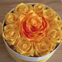 گل جاودان|گل و گیاه طبیعی|قم, آذر (نکویی)|دیوار