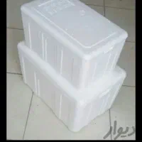 ظرف نگهدارنده گوشت مرغ ماهی.. یخدان ..کلمن