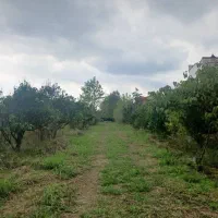 فروش-زمین-باغی-زراعی