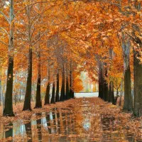 عکاسی پاییزی فضای باز