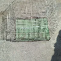 قفس پرنده