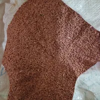 گندم|خوردنی و آشامیدنی|نورآباد, |دیوار