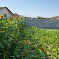 زمین در پنج کیلومتری گرگان-داخل بافت روستا بی نظیر|فروش زمین و ملک کلنگی|گرگان, |دیوار