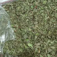 نعناع فلفلی خشک شده عمده|خوردنی و آشامیدنی|شیراز, شهرک بهشتی|دیوار