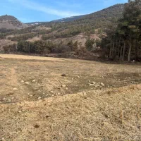 زمین بافت کشاورزی