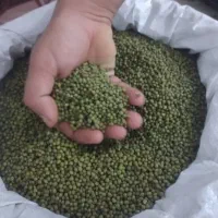 ماش ریز محلی درجه یک بوجار شده