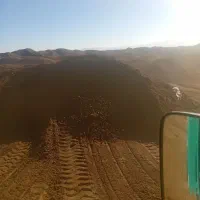 کود گاو تنی  بهترین قیمت پارسالی