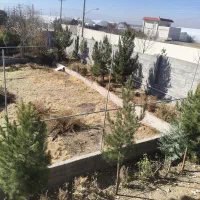 باغ گل خانه ای 5000 هزارمتری|فروش دفتر صنعتی، کشاورزی، تجاری|زنجان, |دیوار