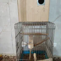 قفس پرنده بزرگ|لوازم جانبی حیوانات|قم, حاج زینل|دیوار
