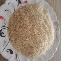 فروش برنج طارم