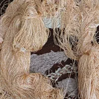 پرده ریش ریشی