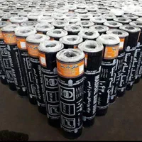 ایزوگام مدت دار   مدت دار