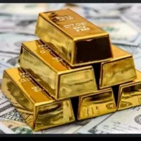 کددریافت هدیه پول رایگان|کارت هدیه و تخفیف|تهران, بوستان سرخه حصار|دیوار