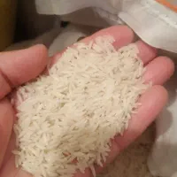برنج گیلان صدری هاشمی  سالم یکدست بشرط پخت|خوردنی و آشامیدنی|قزوین, |دیوار