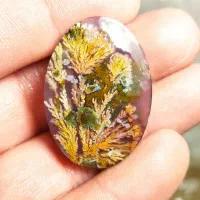 ارائه گوهر سنگ