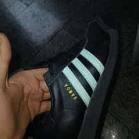 اکبند همراه لیبل ساموا خط فیروزه ای ۲۰۲۵zx