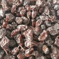 کشمش آبگیری تاک