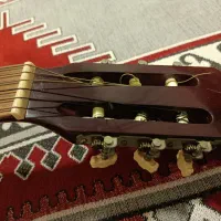 گیتار price c725،با کیف