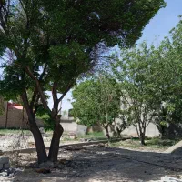 زمین-چهاردیواری-بافت-مسکونی-سندتک-برگ-سهیلیه-کردان