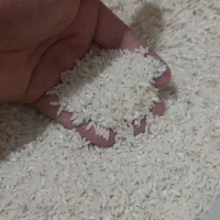برنج طارم بینام درجه یک