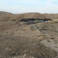 کود کشاورزی هیومیک اسید لوناردیت|خدمات باغبانی و درختکاری|تربت جام, جامرود|دیوار