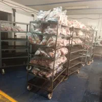 استخدام نیرو قطع بندی مرغ