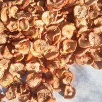 سیب خشک تازه اورگانیک