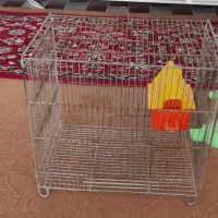 قفس پرنده