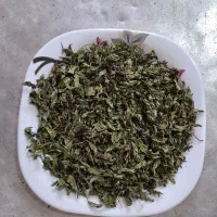 سبزی خشک شیوید نعنا پلویی توله آشی بالاترین کیفیت|خوردنی و آشامیدنی|رامهرمز, |دیوار