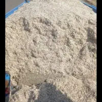 تفاله چغندر ملاس درجه ۱|حیوانات مزرعه|هشترود, |دیوار