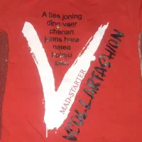 تی شرت نخ پنبه کش دورنگ.۴سایز.قیمت۱۴۰تومان