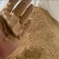 خوراک دام آردک برنج|حیوانات مزرعه|زرقان, |دیوار