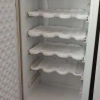 فریزر و معمولی یخچال|یخچال و فریزر|اقبالیه, |دیوار