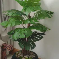 درختچه مصنوعی|گل مصنوعی|پرند, فاز ۴|دیوار