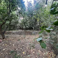 فروش ۲۰۰ متر باغ در سولقان دارای درختان میوه