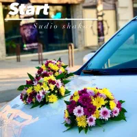 اتلیه تخصصی فیلم و عکس