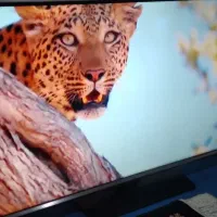 42اینچ سامسونگ دیجیتال داخلی