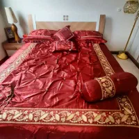 روتختی خارجی مارک پرفسور