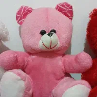 عروسک و وسایل