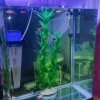 دو عدد اکواریوم معاوضه با هر چی همراه با ماهی