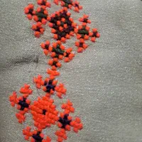 پلیوار اصلی شیرازه