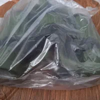 دوربین دوچشمی|کوهنوردی و کمپینگ|رشت, دیلمان|دیوار