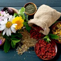 کار آنلاین