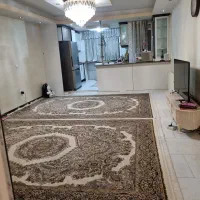 دوعدد فرش 9متری