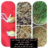 کود|گل و گیاه طبیعی|خرمآباد, |دیوار