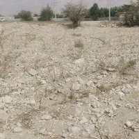 فروش زمین کشاورزی براصلی (باقابلیت ویلاسازی)|فروش دفتر صنعتی، کشاورزی، تجاری|تخت, |دیوار