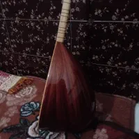 ساز سنتی|سازهای سنتی|ارومیه, |دیوار