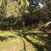 باغ و باغچه|فروش زمین و ملک کلنگی|طارم (زنجان), |دیوار